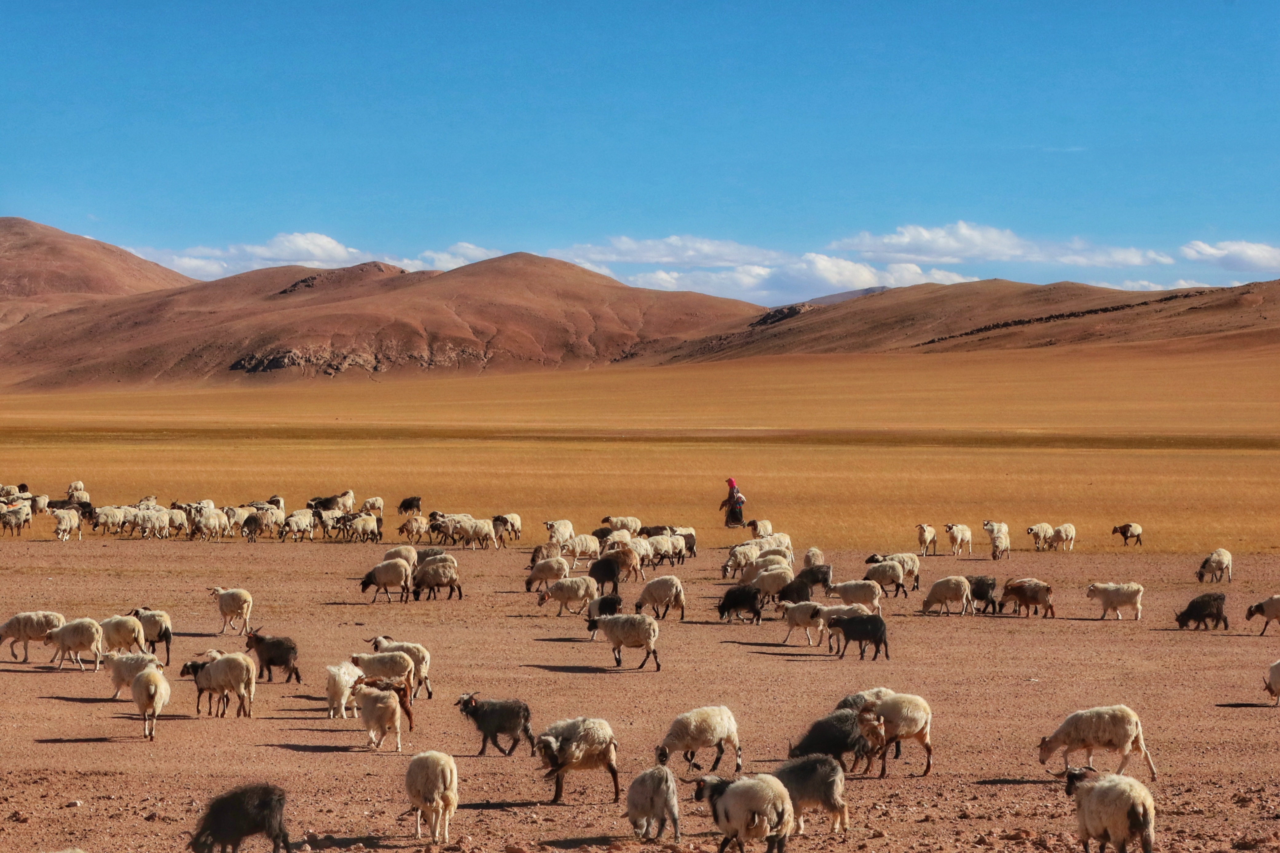 得了癌症要保持乐观,得了癌症却很乐观做自己喜欢的事