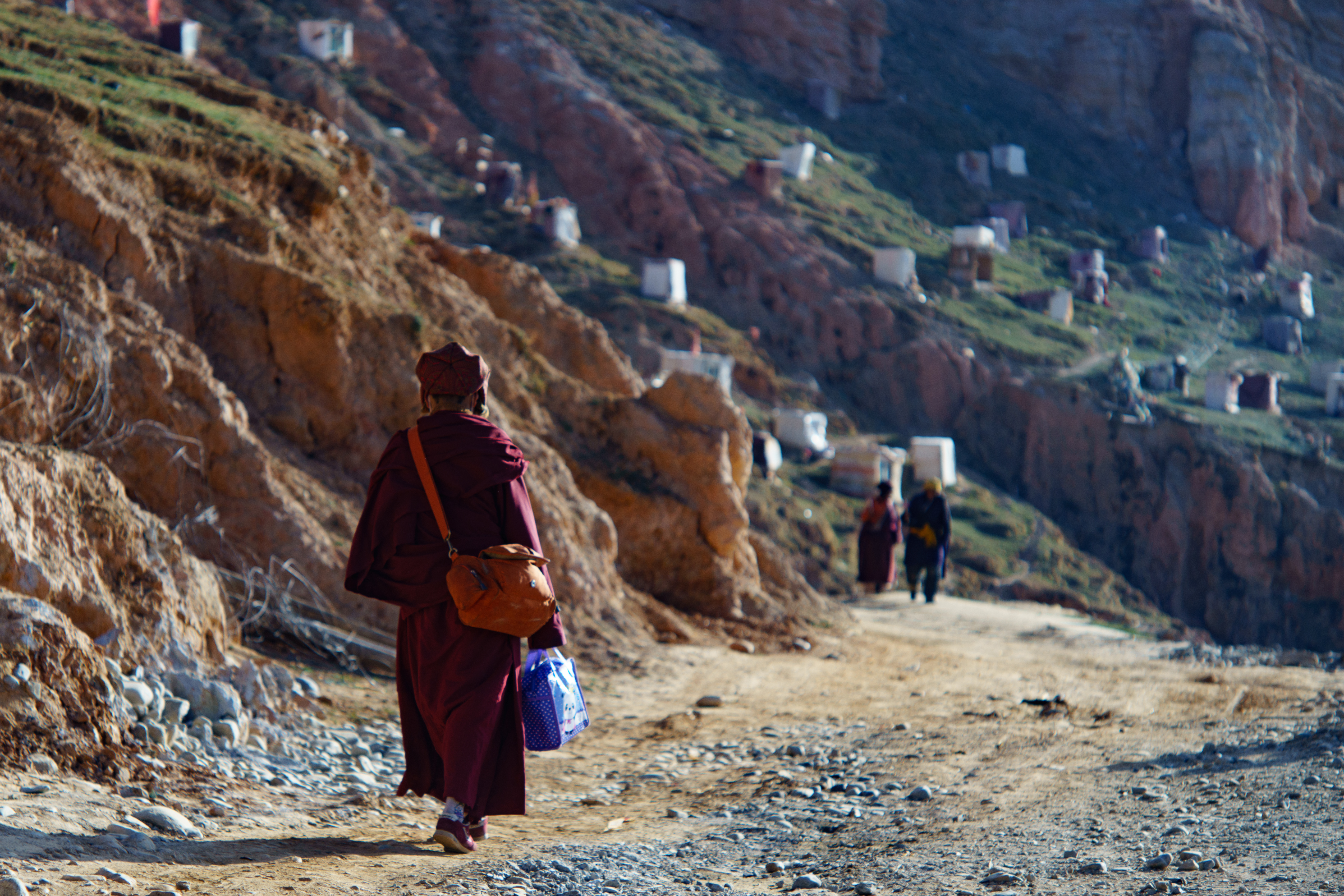 理性终究是理性的苍白,理性为什么是苍白的