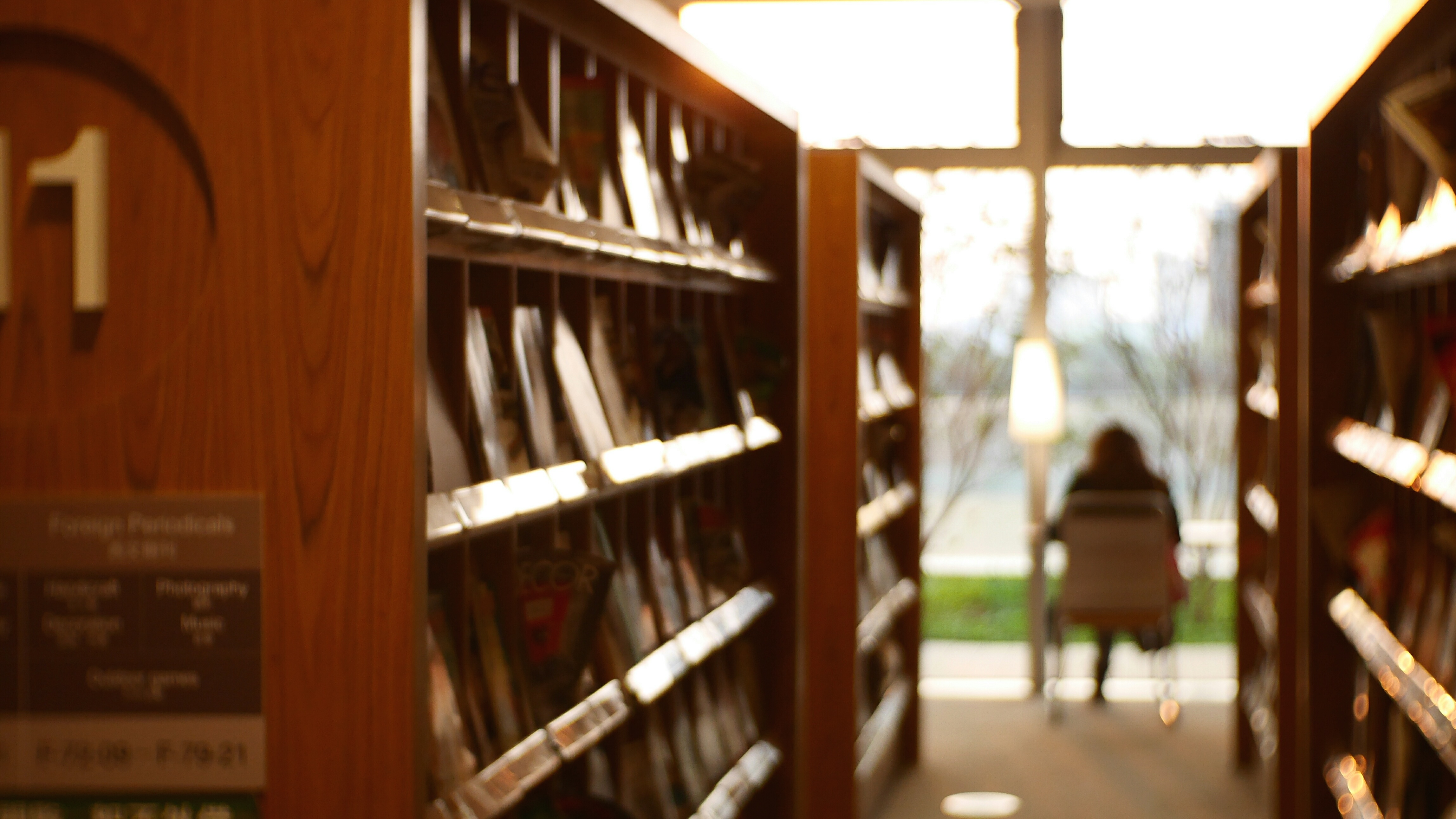 一战时期德国和法国谁厉害,一战德国为什么打法国