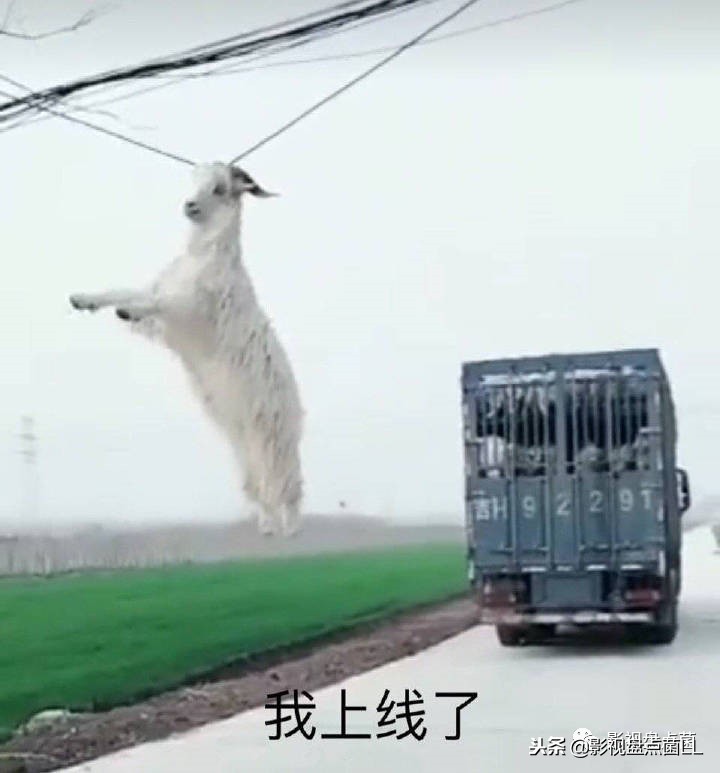 大英博物馆vs故宫,大英博物馆vs故宫博物院比较