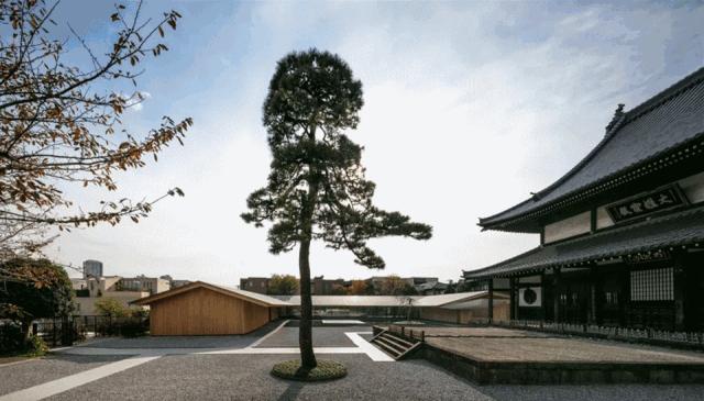 隈研吾近期作品,隈研吾新作品