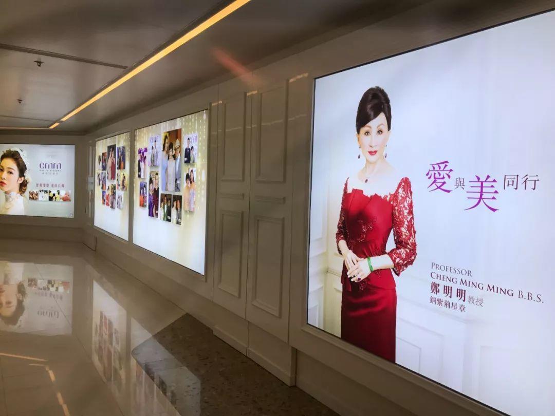 西西求学记|美是我们的终生修行