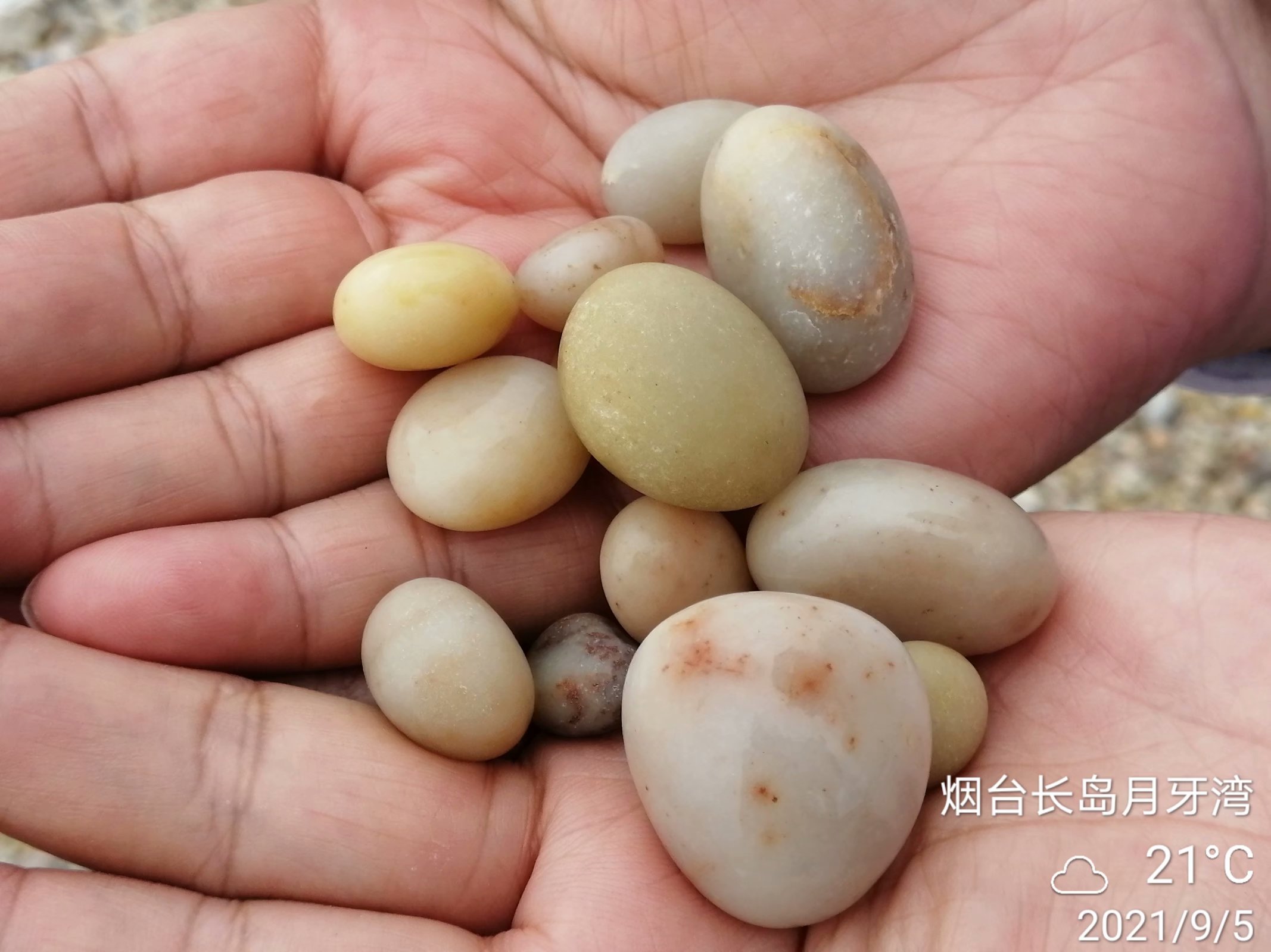 满岛景色看不够，很想留作长岛人