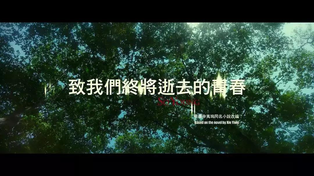 致青春陈孝正,致青春陈孝正郑微彻底分手电视剧