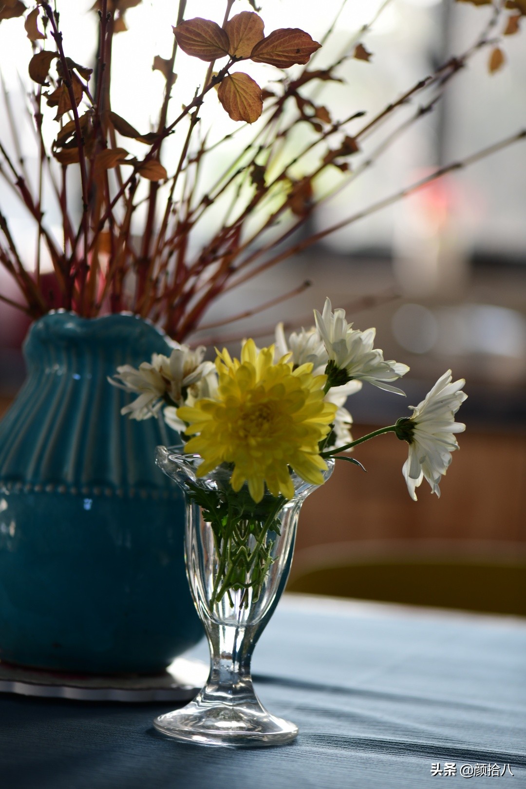 零下9度来袭，花园里的绿色是那么动人|园丁