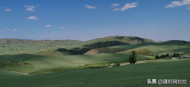 新疆乌鲁木齐拍婚纱照价格行情,乌鲁木齐拍婚纱照3千元