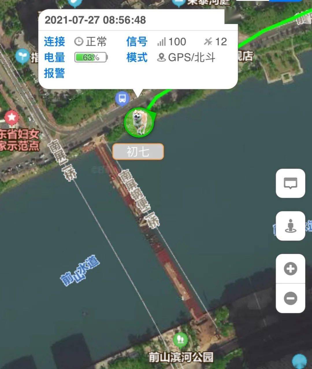广东遛狗不牵绳抓狗现场大快人心,珠海查未拴绳狗