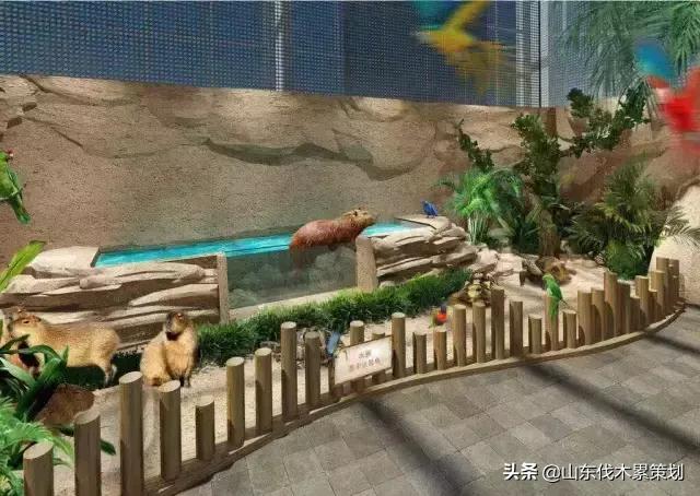 自驾游山东日照网红打卡旅游攻略,东夷花仙子美景