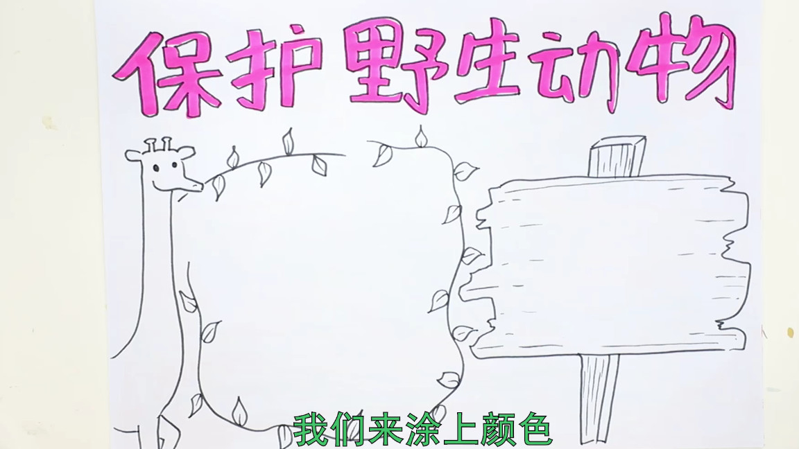 关于野生动物书的手抄报,关于野生动物的手抄报简单漂亮