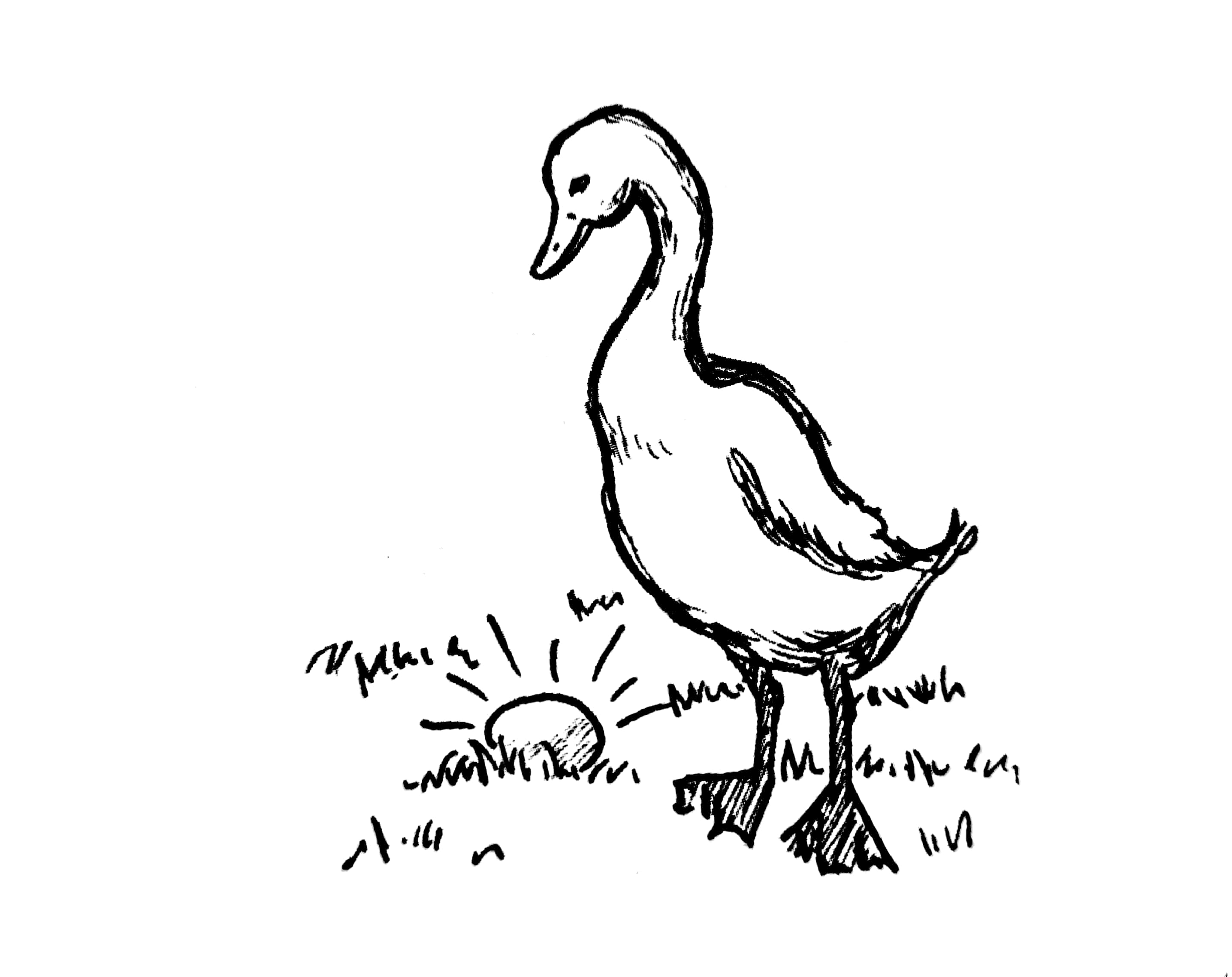 妈妈有1万元有2种理财方式,妈妈有一万元钱有两种理财方式