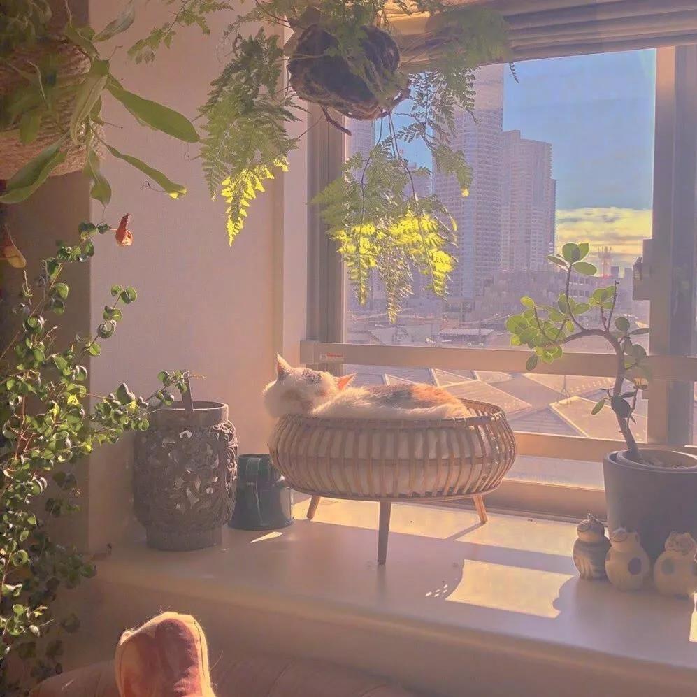 小众文案短句干净,生活小众文案高级有深度