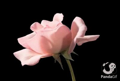 54、宋代“东厂”——御药院其四