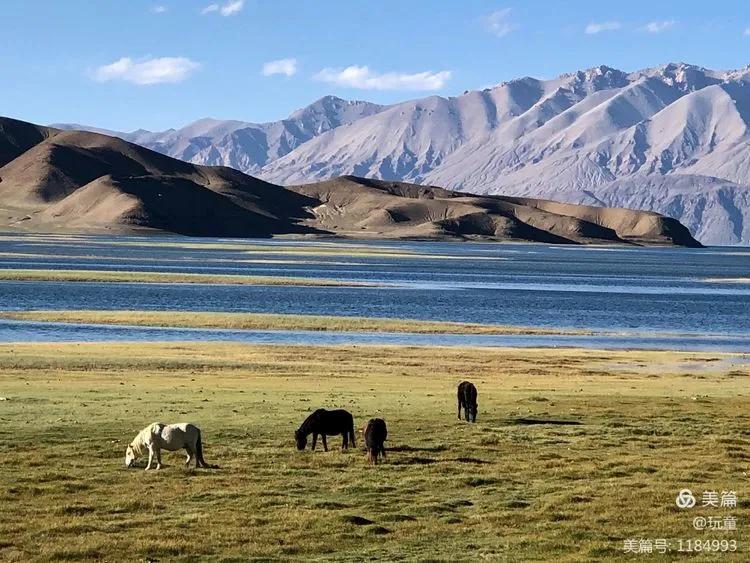 70岁的大爷用这篇游记告诉我们，阿里究竟值不值得去