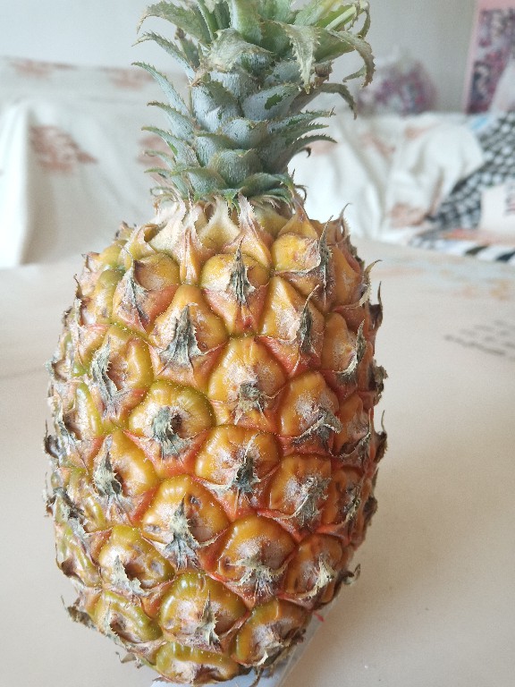 教你如何正确吃菠萝,一百种方法教你如何吃菠萝