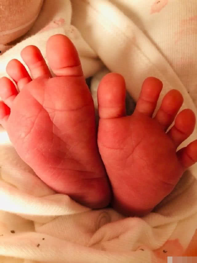 温馨杨怡晒罗仲谦举起女儿相片,杨怡老公罗仲谦电视剧