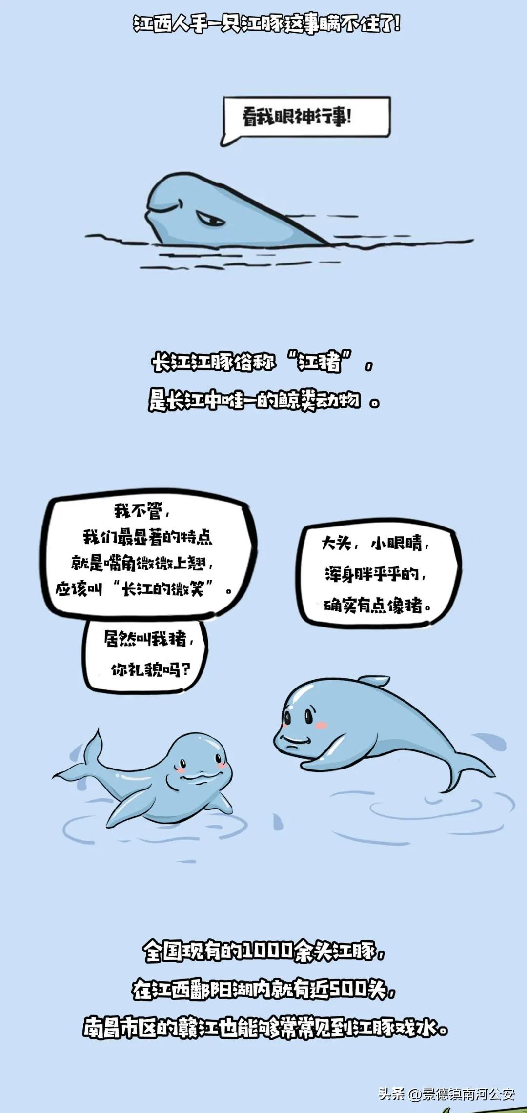 赣江一江两岸视频,赣州赣江最新视频