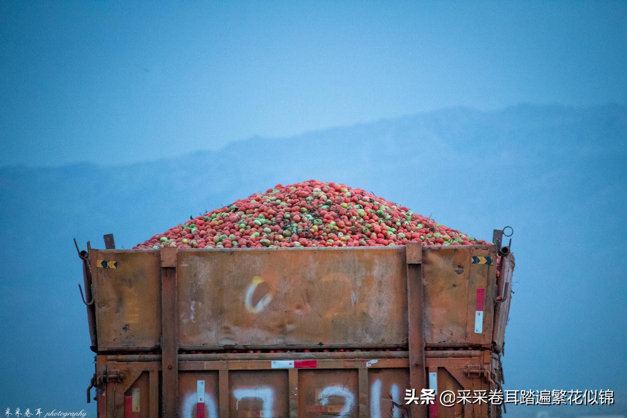 慢游景点,博斯腾湖景点打卡