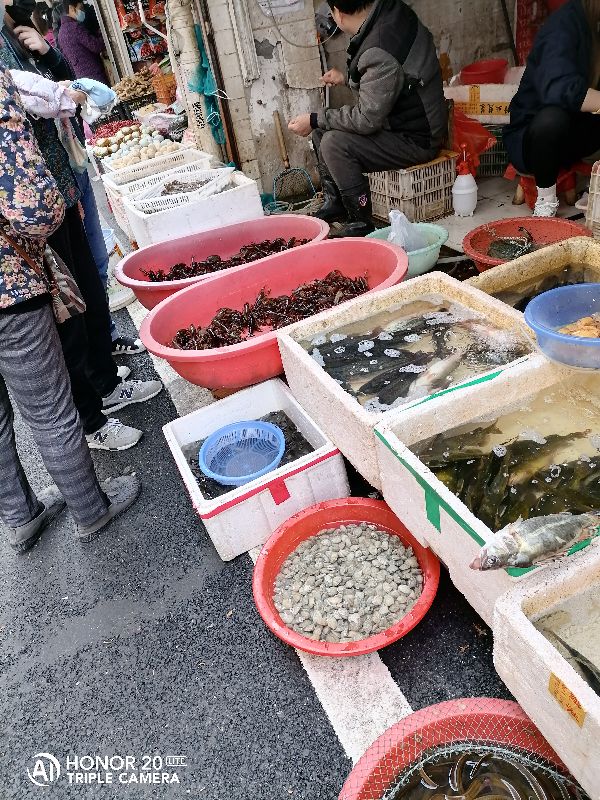 灵川城南菜市场卖鱼缺斤少两,石家庄光华路菜市场卖鱼缺斤少两