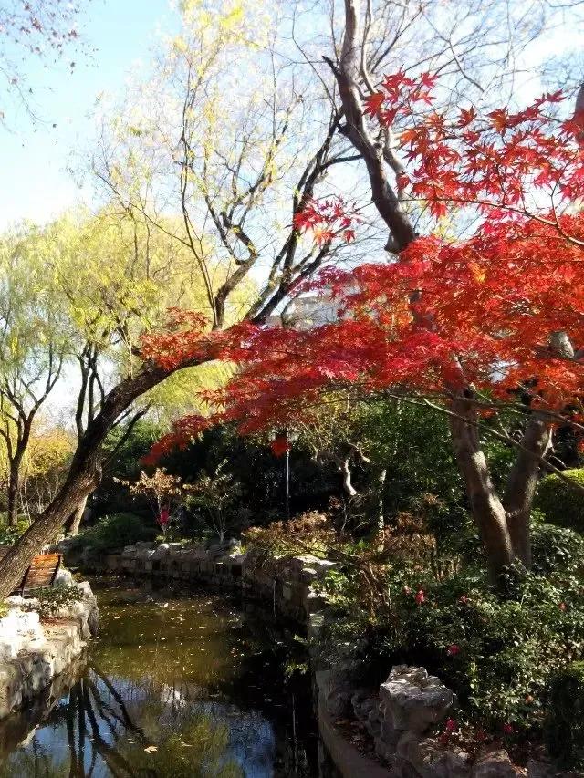 鲁讯公园的湛蓝色天空