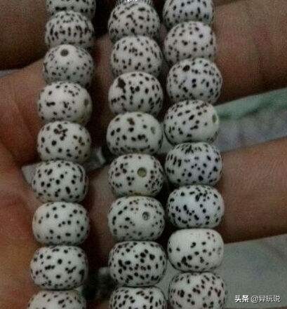 新手星月菩提适合买多大的,星月菩提4大禁忌