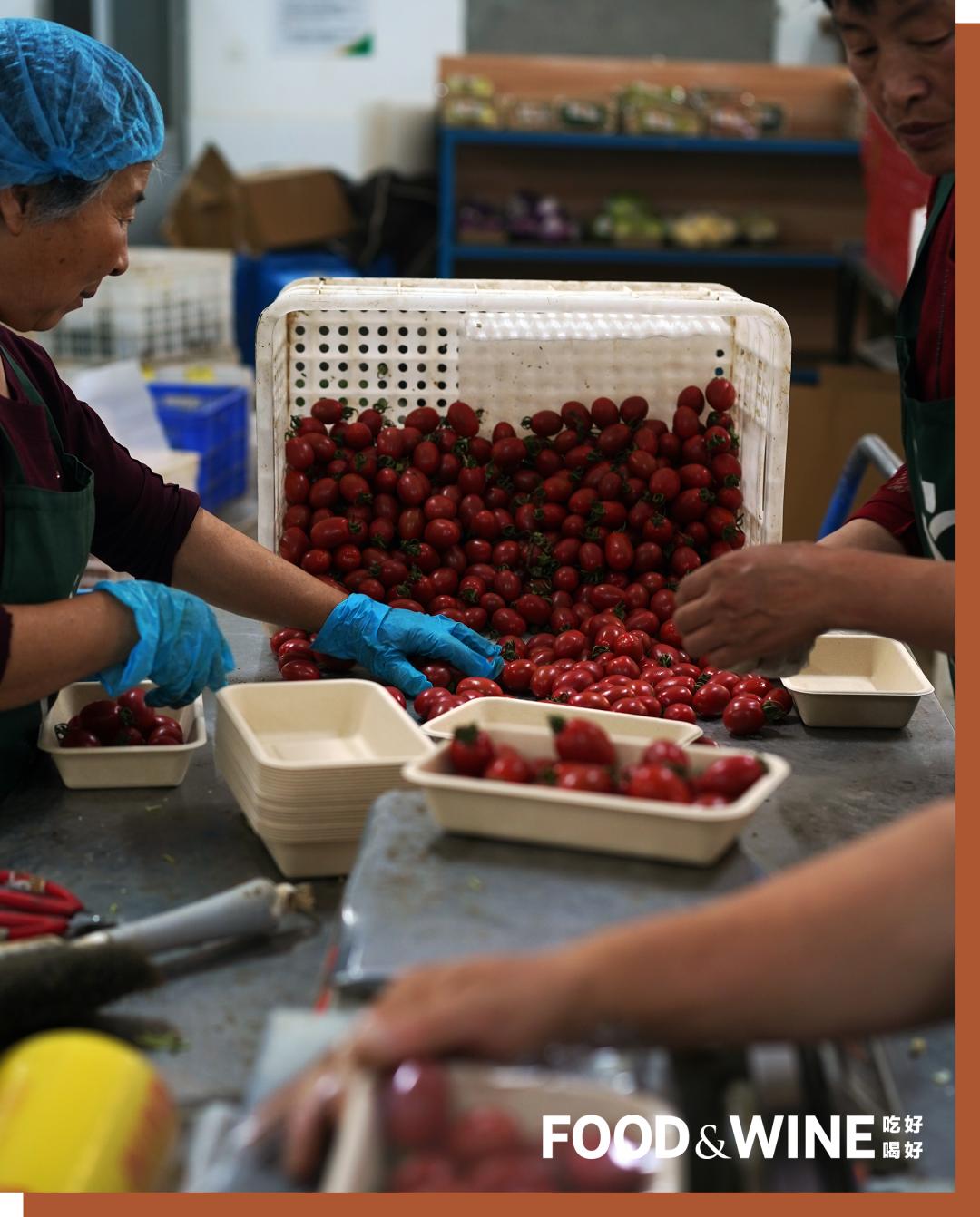 有机蔬菜需要了解哪一些,有机蔬菜基础知识