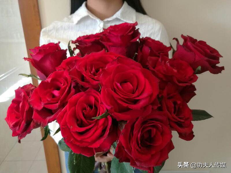 2022年7月5日鲜花价格,鲜花价格排行前十