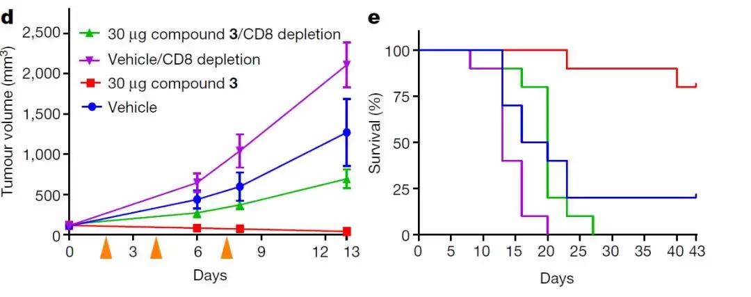 免疫细胞治疗癌症重大突破新闻,全球治愈癌症的进展