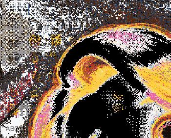 PPT不念“屁屁T”，APP也不是“A屁屁”！老外怎么说？