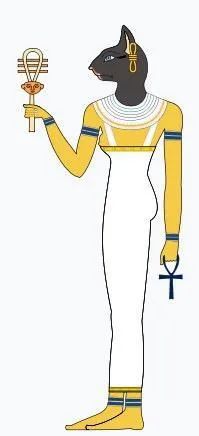 黑猫是不吉利的象征吗,黑猫代表着不祥可老人偏偏不信