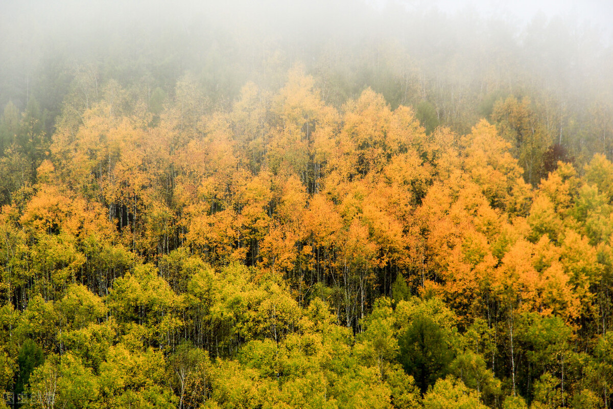 微小说意料,微小说意外的休妻
