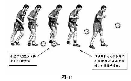 简笔体育教学挂图,体育课动作示范和挂图