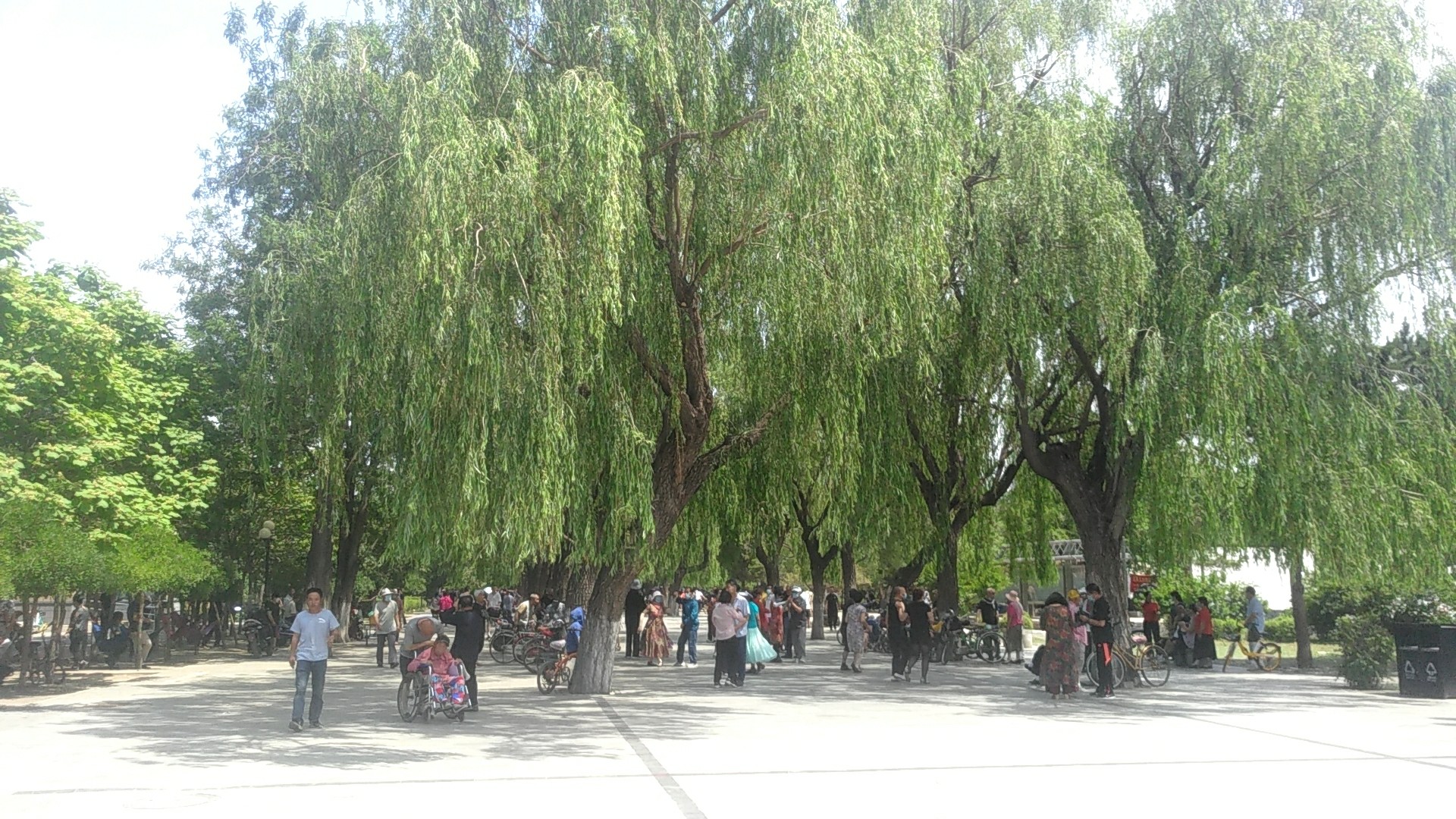 沈阳建设公园篮球场,沈阳隐藏球场