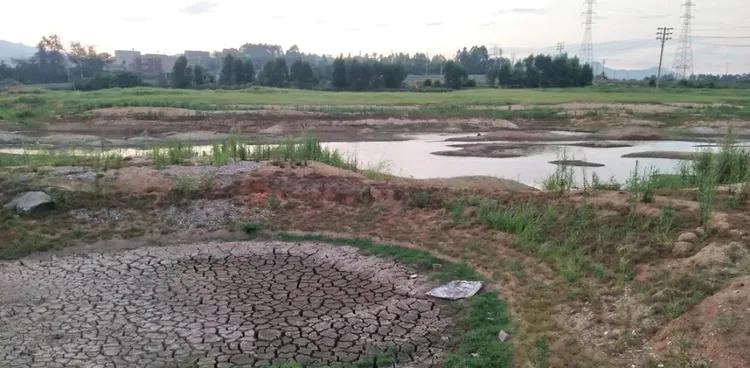 莆田梅峰小学历史,福建省荔城区梅峰小学