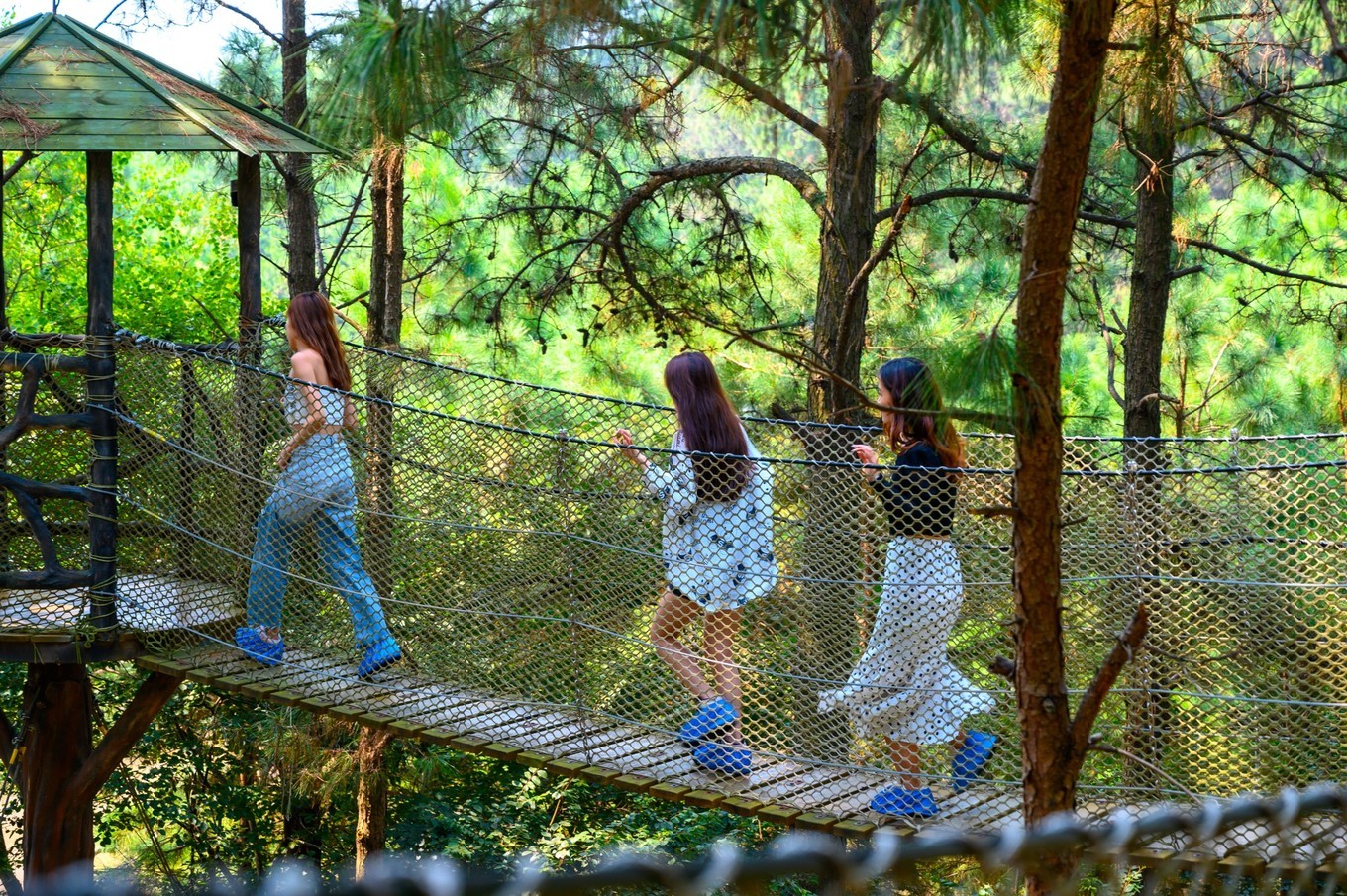 走进南京高淳,打卡网红打卡地固城湾景区,品尝固城湖螃蟹