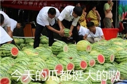 美好的一天从搬砖开始表情包,美好的一天开始了表情包