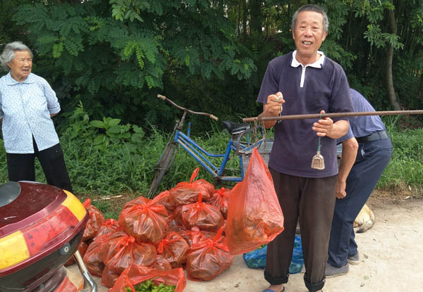 舒城城关镇:大棚里,一份关爱,十份收获