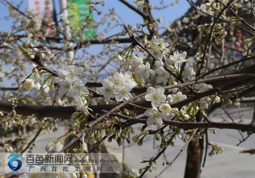 2020最强“广西大全”来了！承包柳州人一整年的旅行