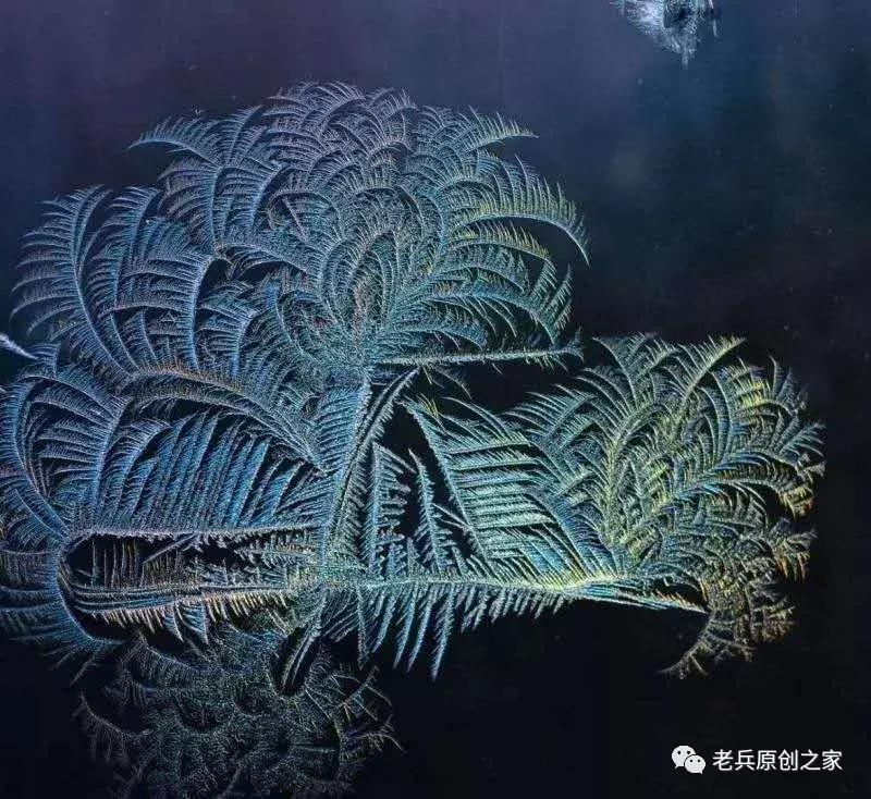 小年礼物赋佳木斯女诗人等诗