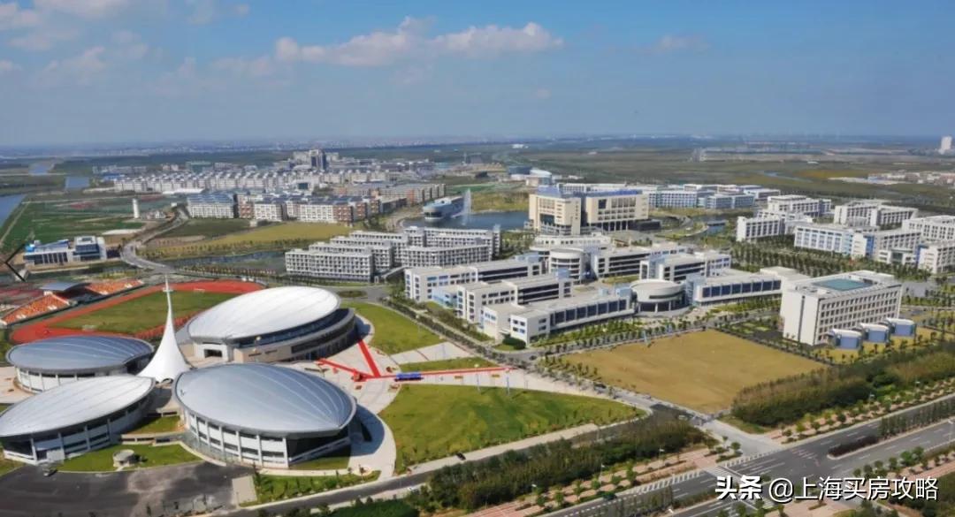 杨超越临港落户,锦鲤杨超越