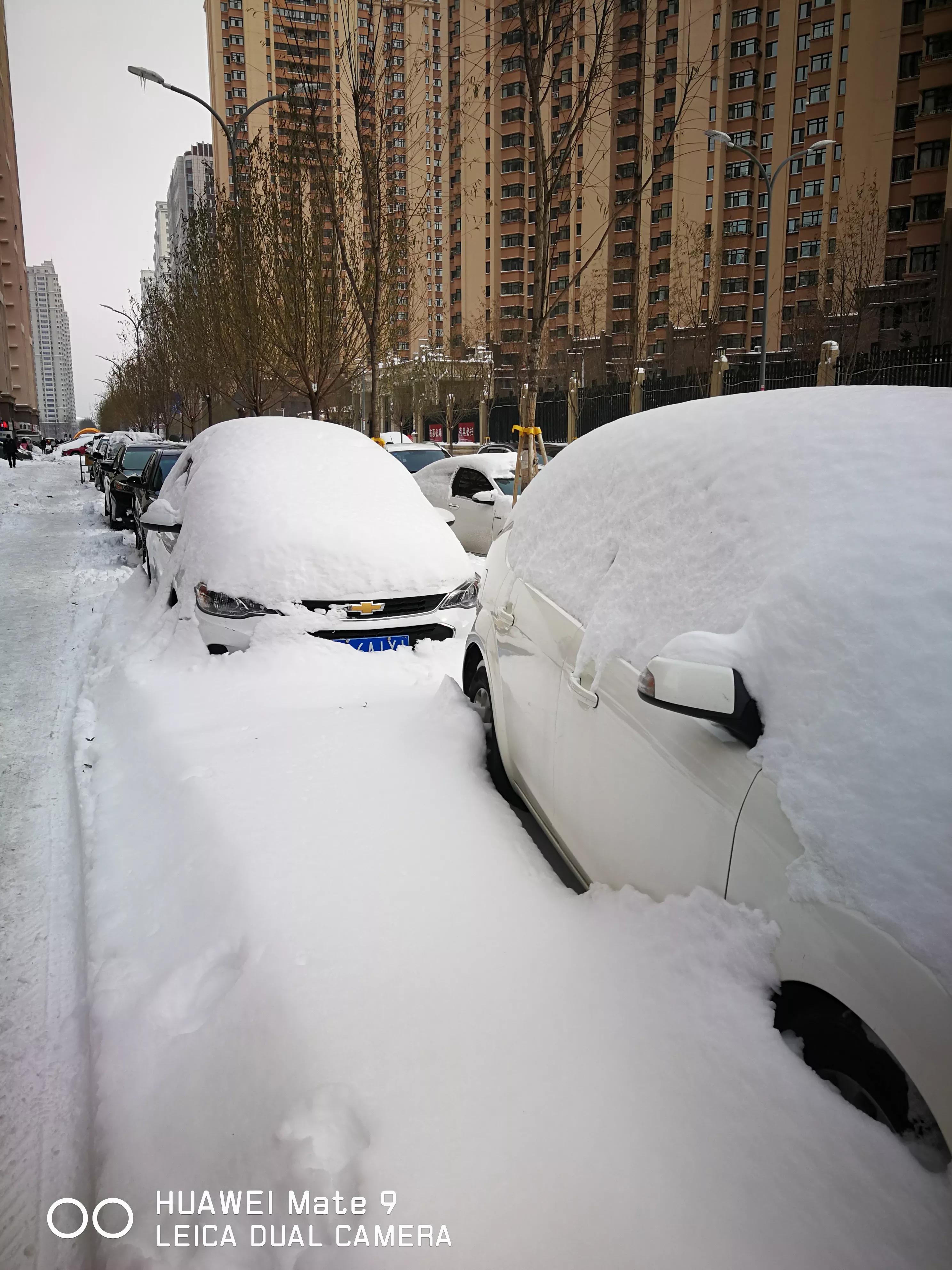 希望在人间，但一场噩梦又出现，又得了第三个癌症，膀胱癌