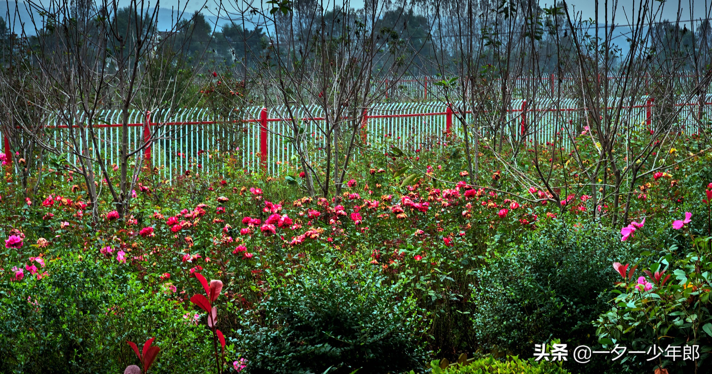 秦岭深处有座小镇,秦岭涝峪滑翔伞基地婚纱摄影