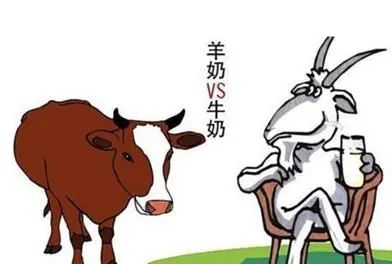 喝羊奶的孩子更聪明？羊奶牛奶大PK，乳品专家告诉你真相