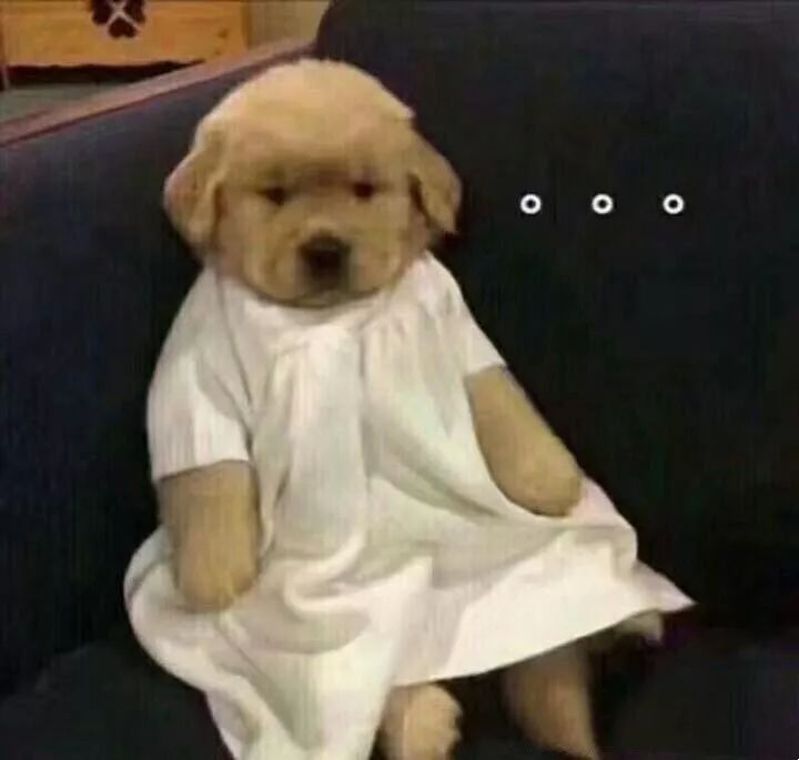 洗车液配料哪种好,洗车液怎么选不伤车