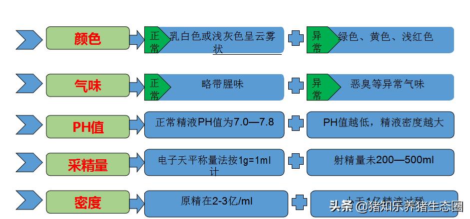 猪授精的正确方法,猪授精的正确方法是什么