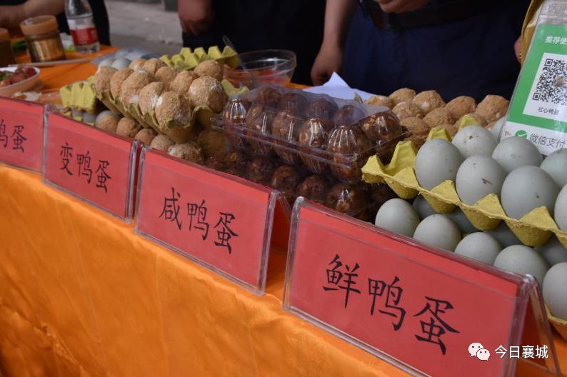 瑗勫煄鍘夸竵钀ヤ埂鐩存挱甯﹁揣,瑗勫煄鍘夸竵钀ヤ埂鐩存挱