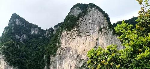 采一片天竺山的云朵别在发梢，带你感受云中漫步的奇妙幻境