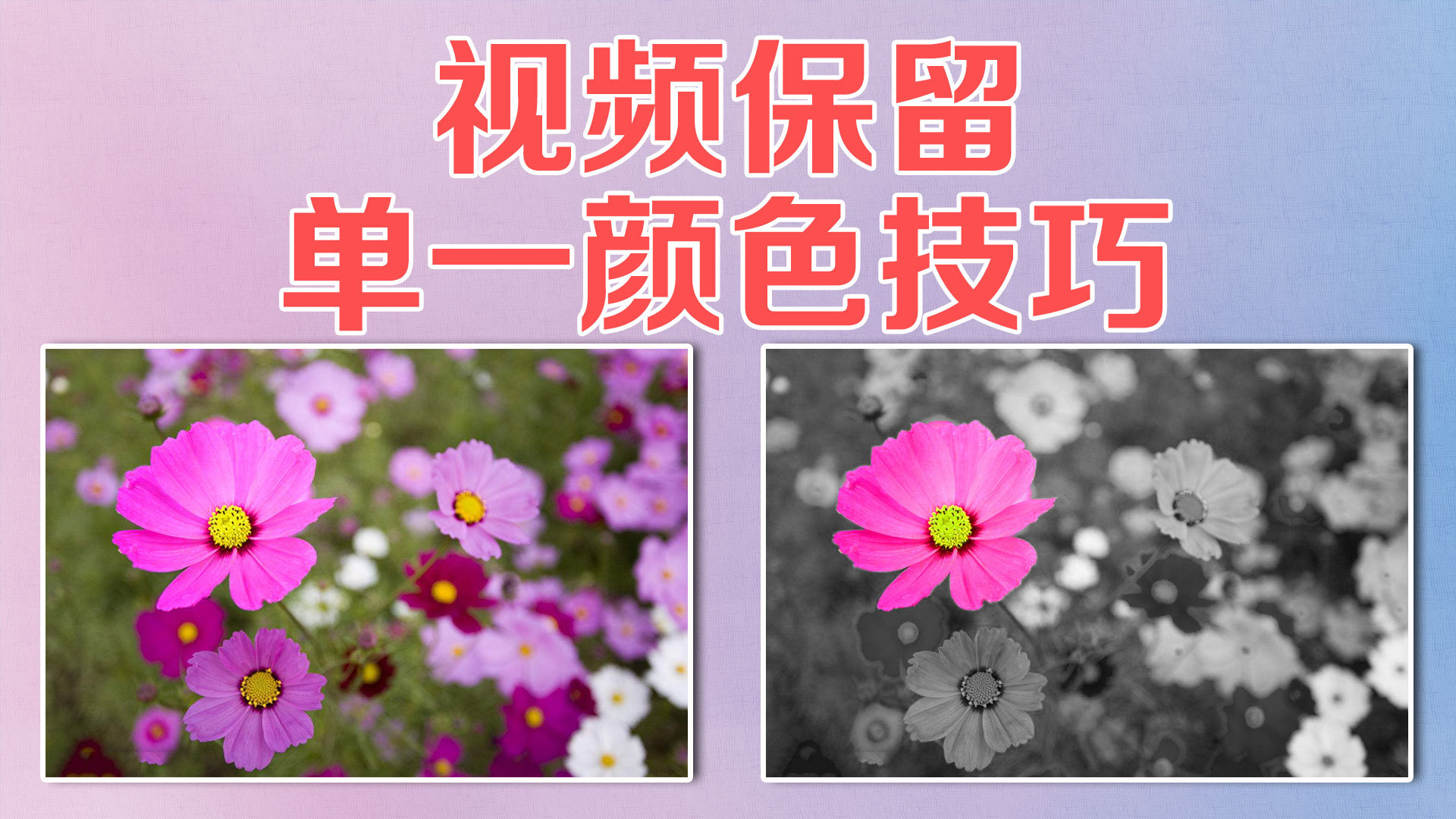 广告宣传片拍摄制作手法,视频广告制作的最佳方法