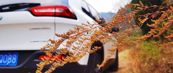 自由光2.0t驾驶感受,18年自由光2.4车主真实感受