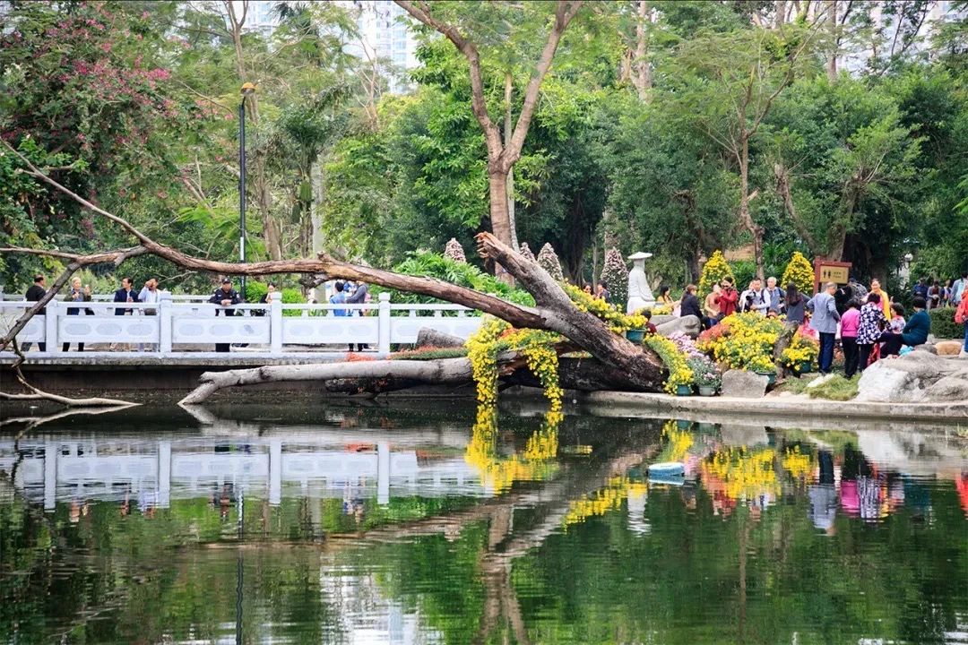 深圳地铁7号线有什么好玩的,深圳地铁十四号线游玩攻略