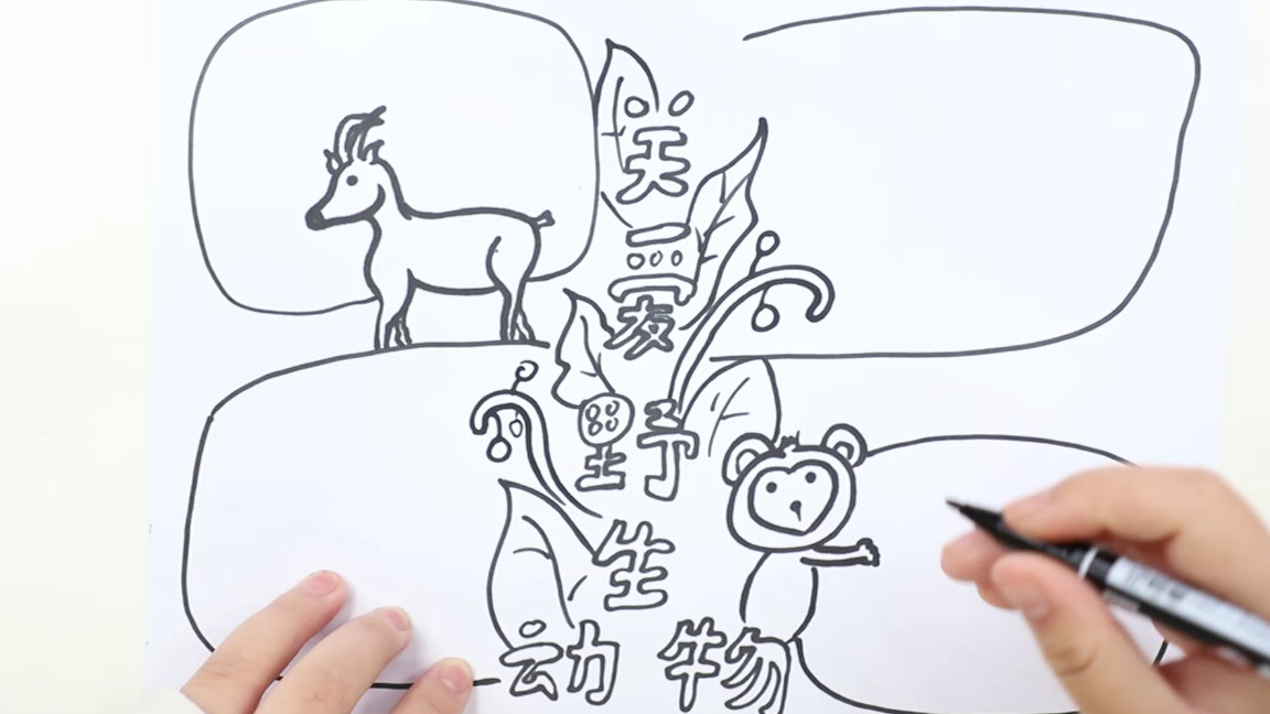 保护野生动物的手抄报内容,病从口入保护野生动物手抄报